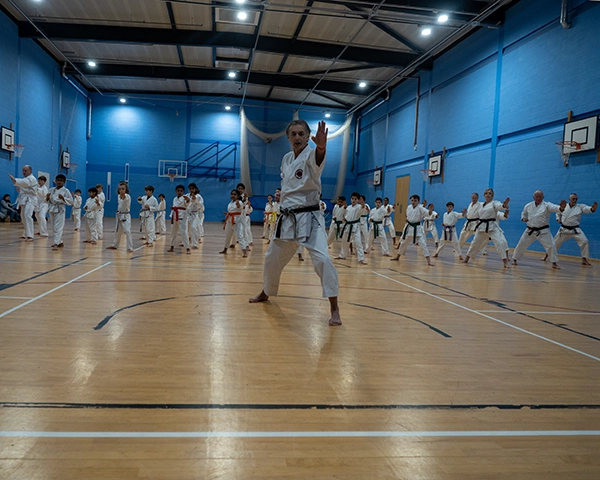 Karate grading in Bristol