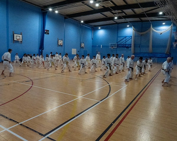 Karate Grading in Bristol
