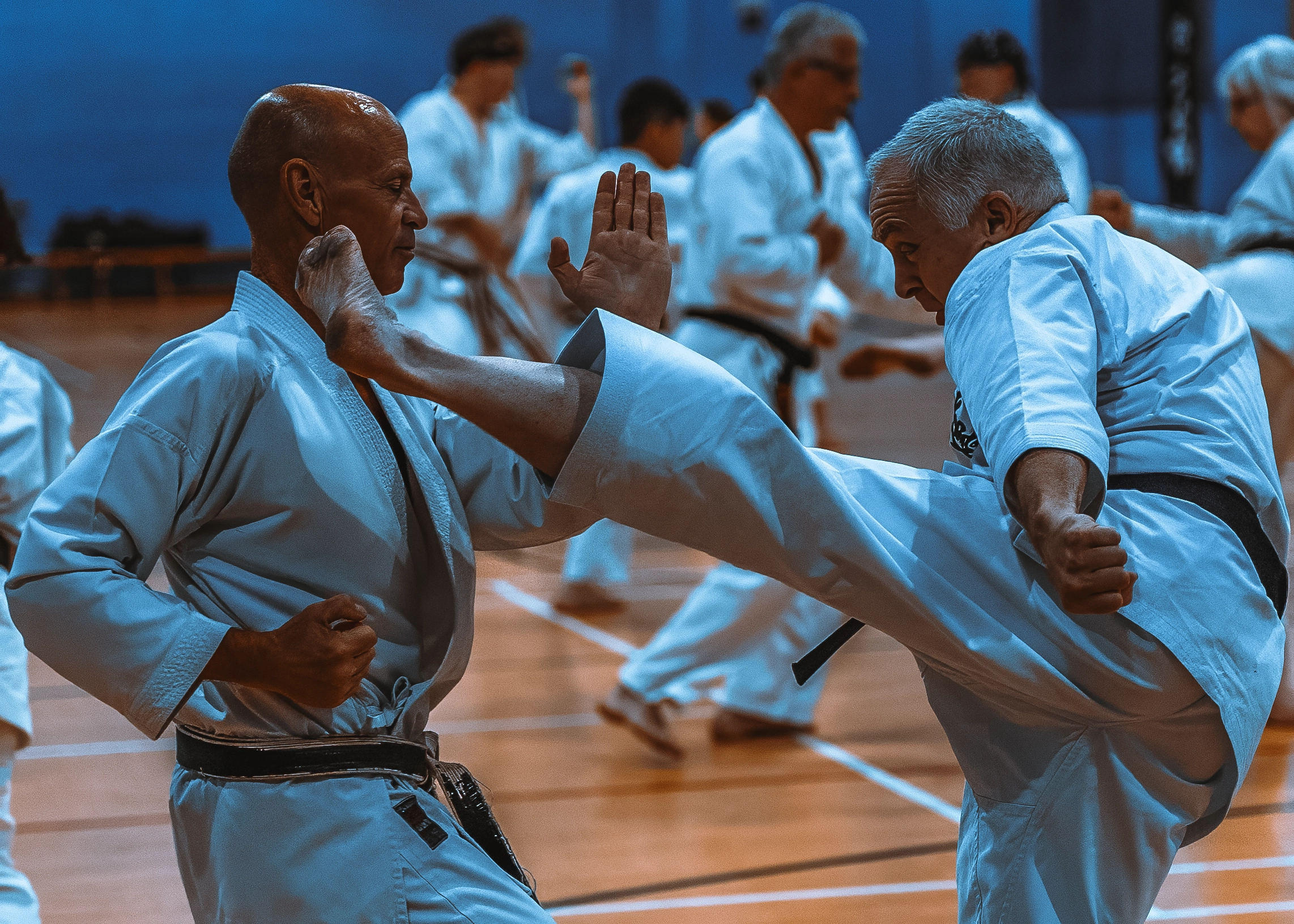 Kyoto Karate Seminar in Bristol - Paul Mead 2025 - Kick