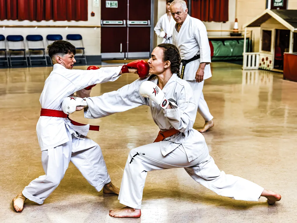 Shobu Ippon Karate Kumite