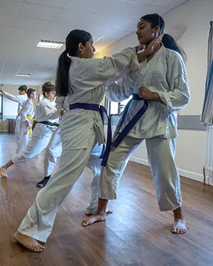 Ippon Kumite - Jiyu Shuto uchi strike