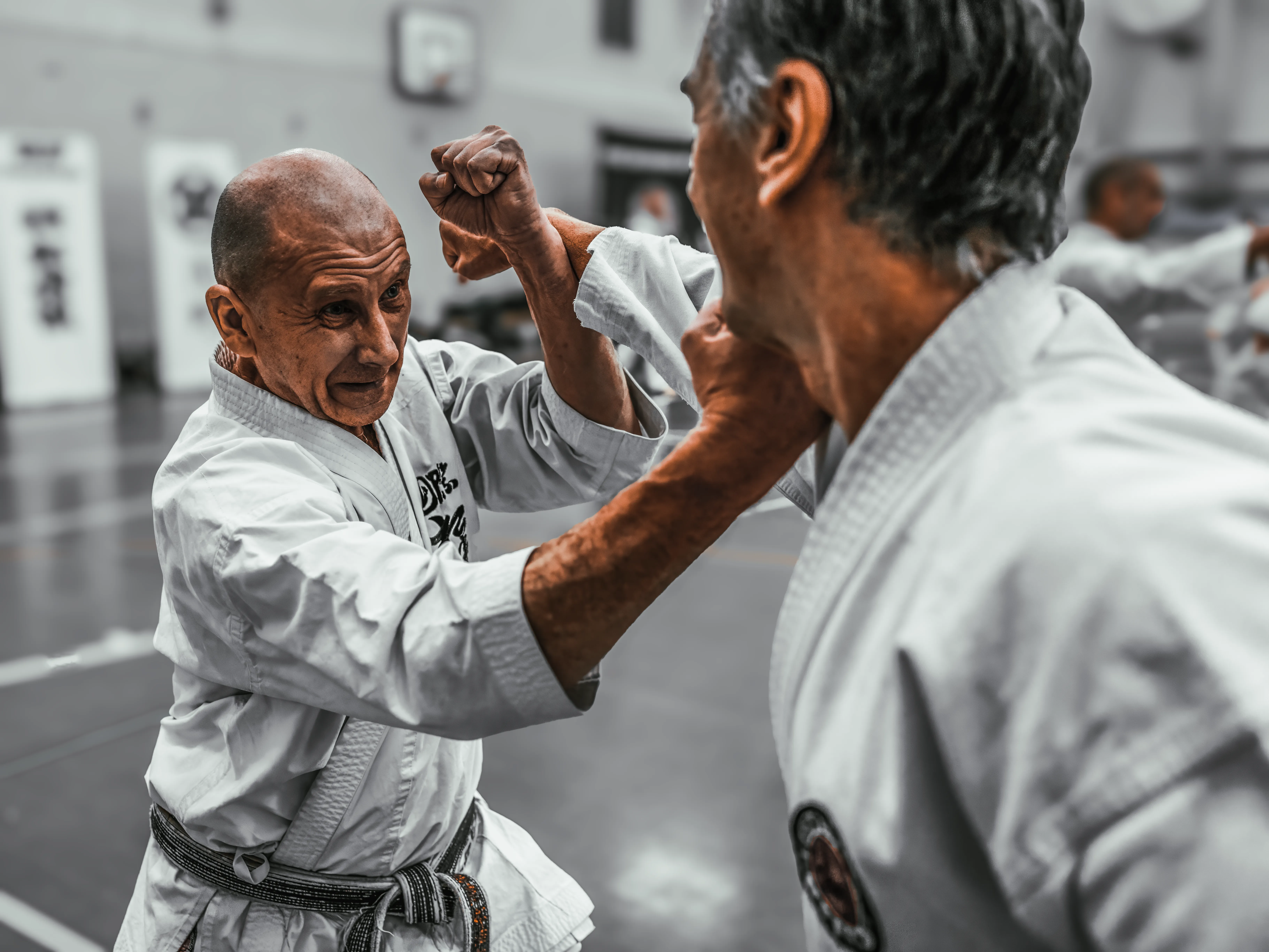 Kyoto Karate Seminar - Ura Zuki