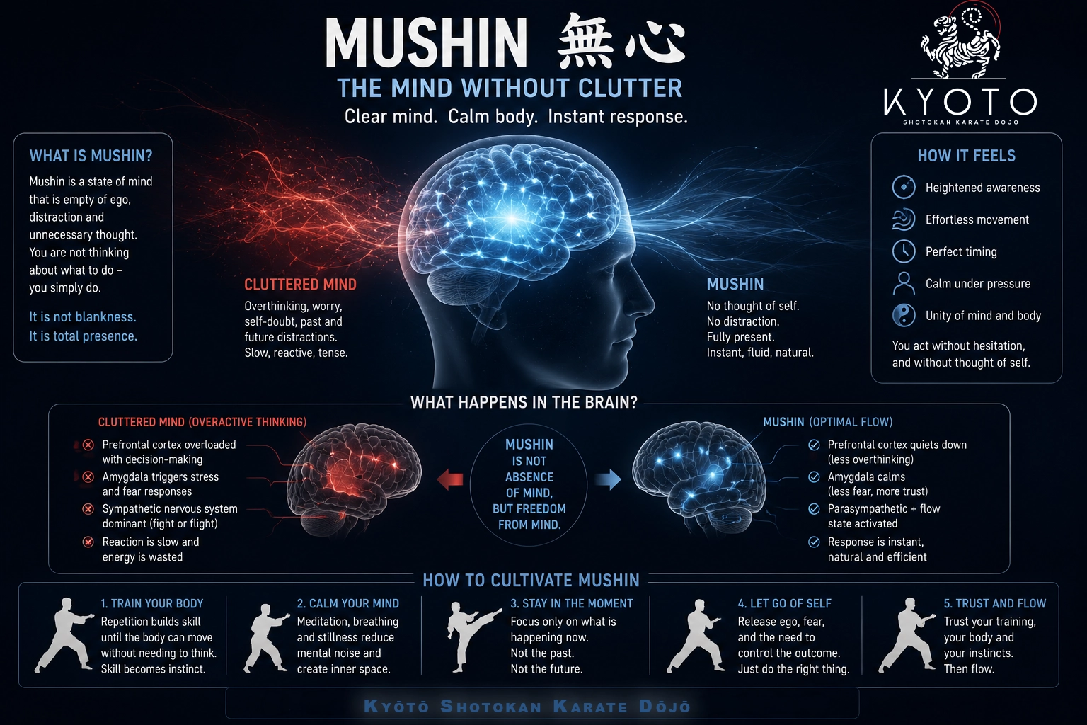Kyoto Karate - Mushin - The mind without clutter