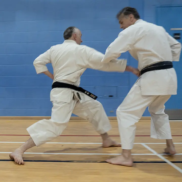 Sensei Griffiths and Nick demonstrating reverse punch