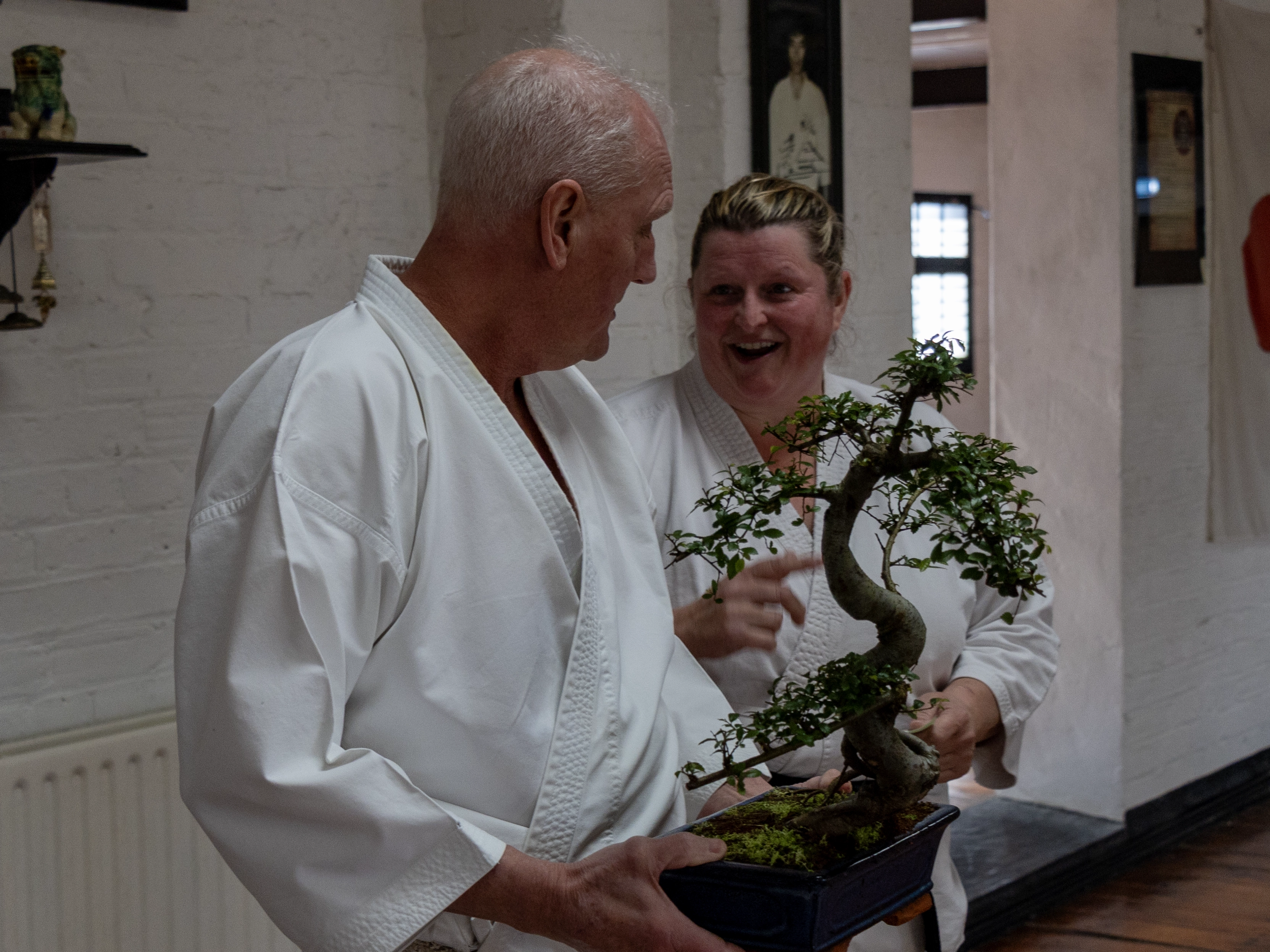 Bonsai Tree gift as Konjaku Shin closes