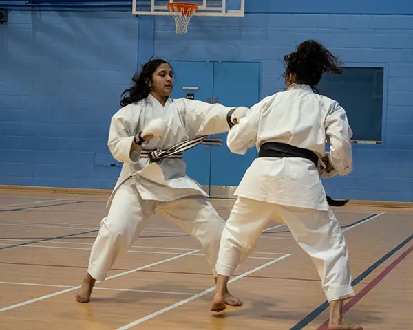 Karate Squad: Adorna and Annabel Kumite