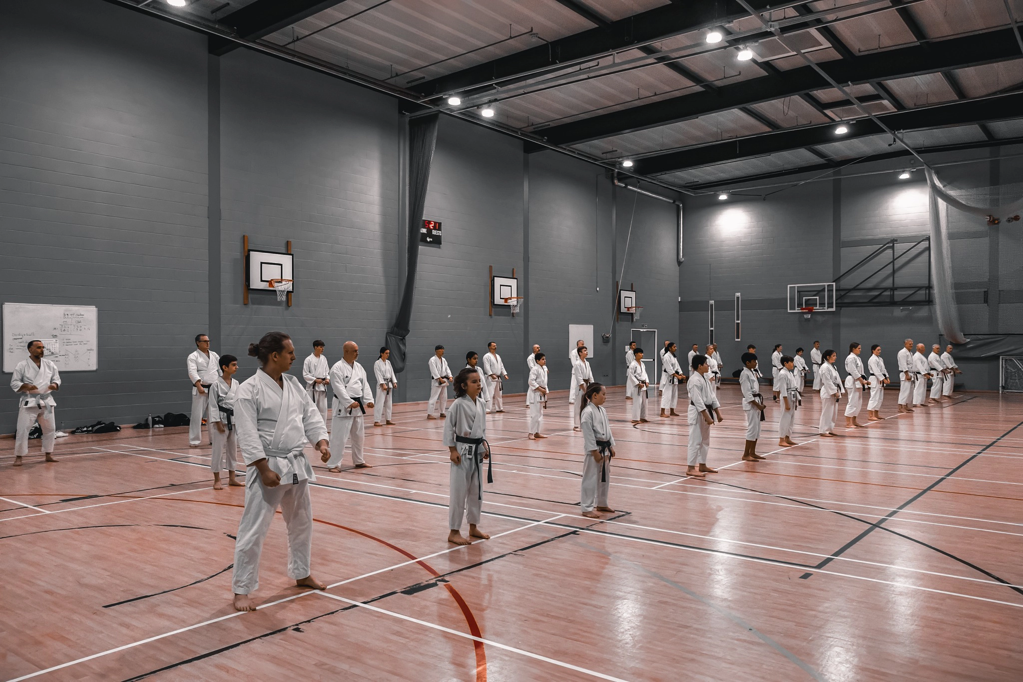 Kyoto - Pasq Mura Seminar 2025 - Karate class lineup