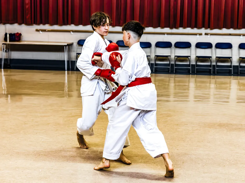 Shobu Ippon Karate Kumite