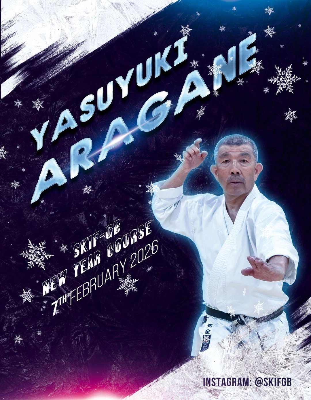 Aragane Sensei New Year Seminar