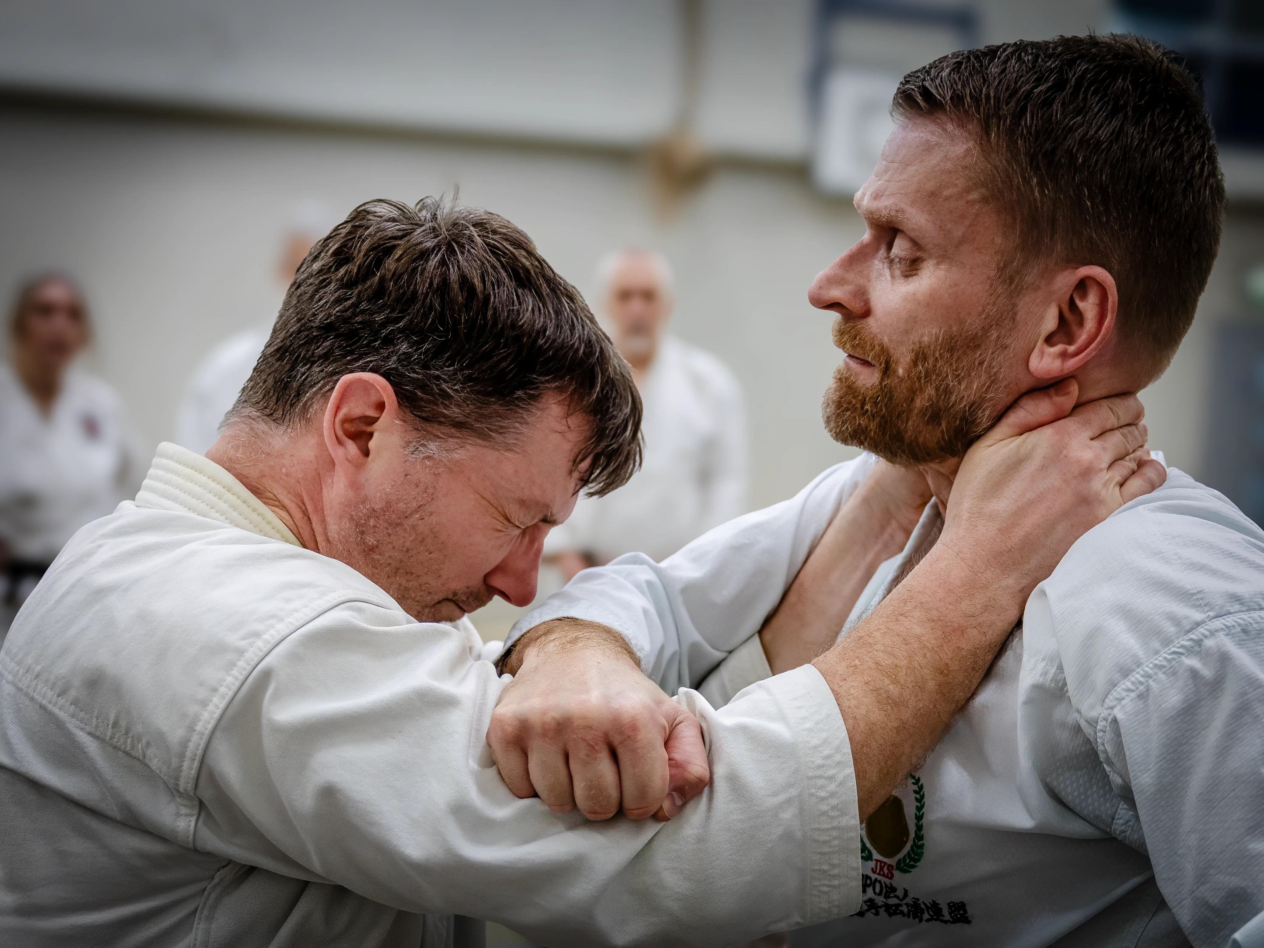Steve Carless Sensei 6th Dan