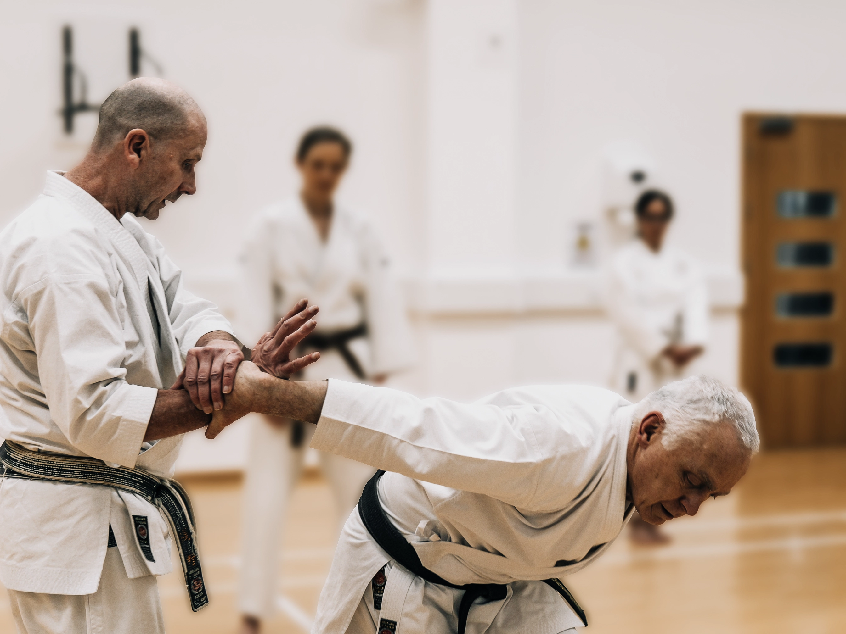 Kyoto - SKIF Devon - Karate Training - Bunkai