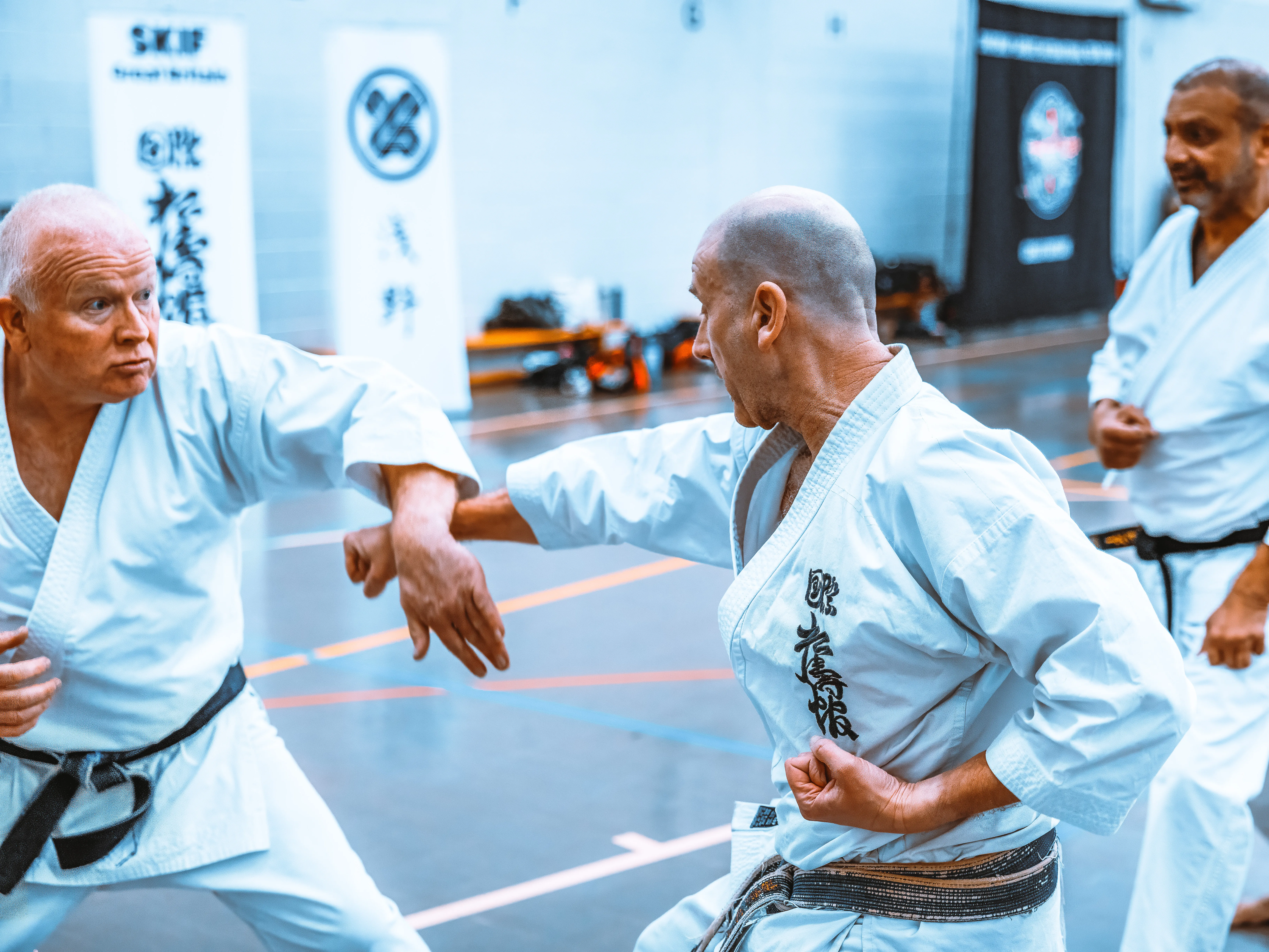 Kyoto Karate Seminar - Bristol, BS11