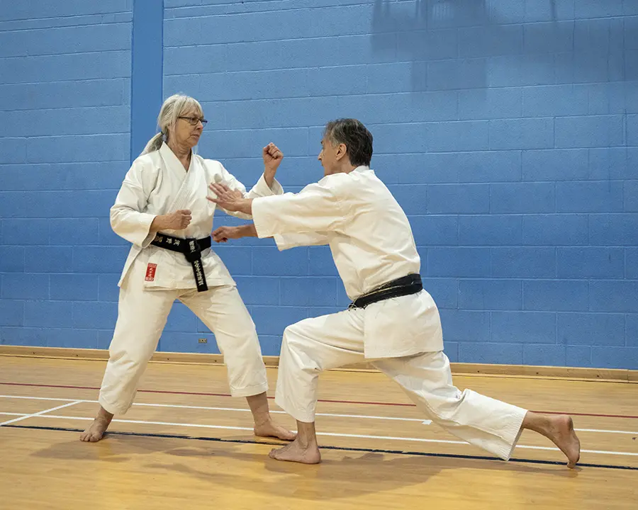 Sensei Griffiths demonstrating during karate squad