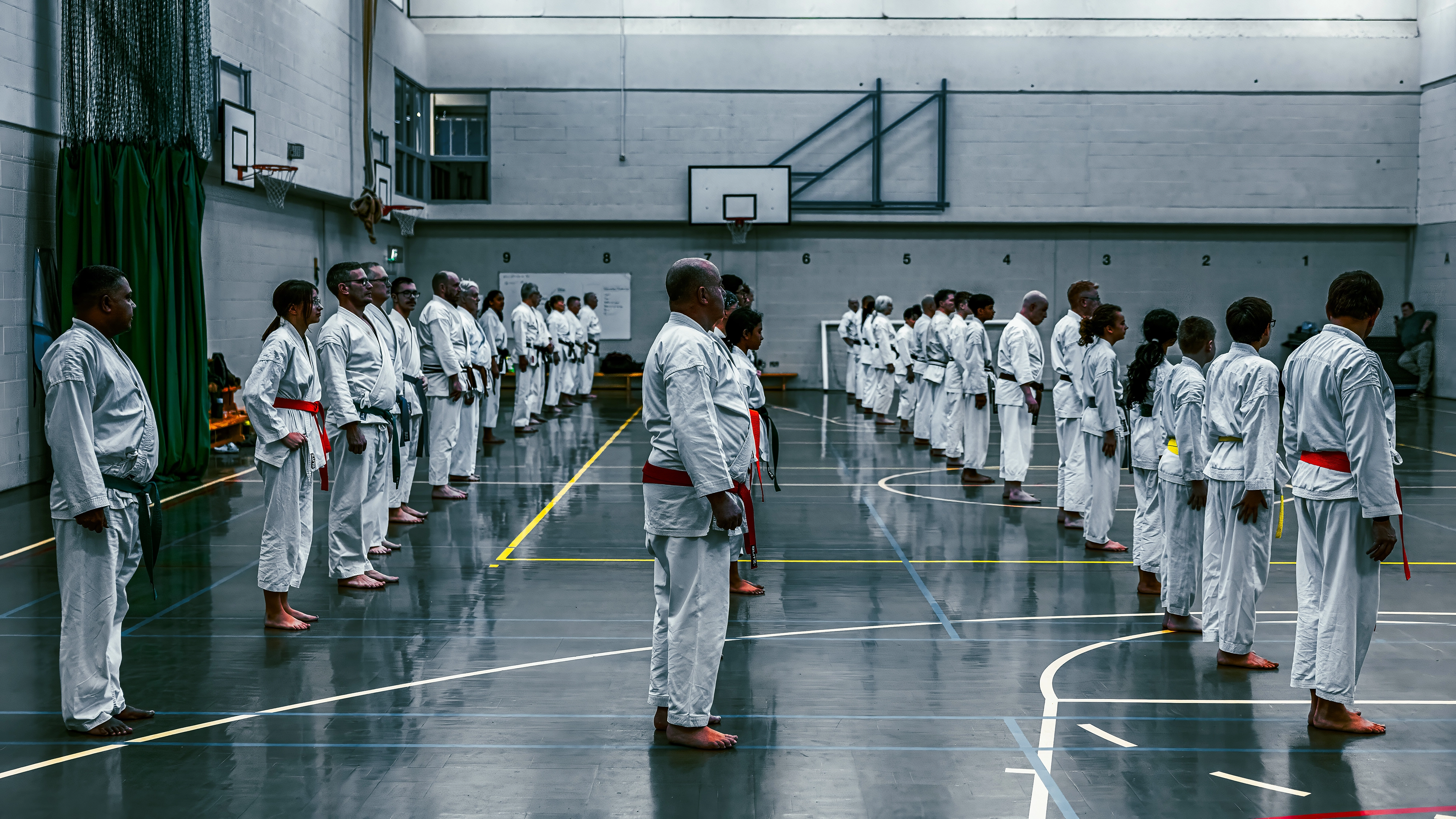 Kyoto 30th - karate class lineup