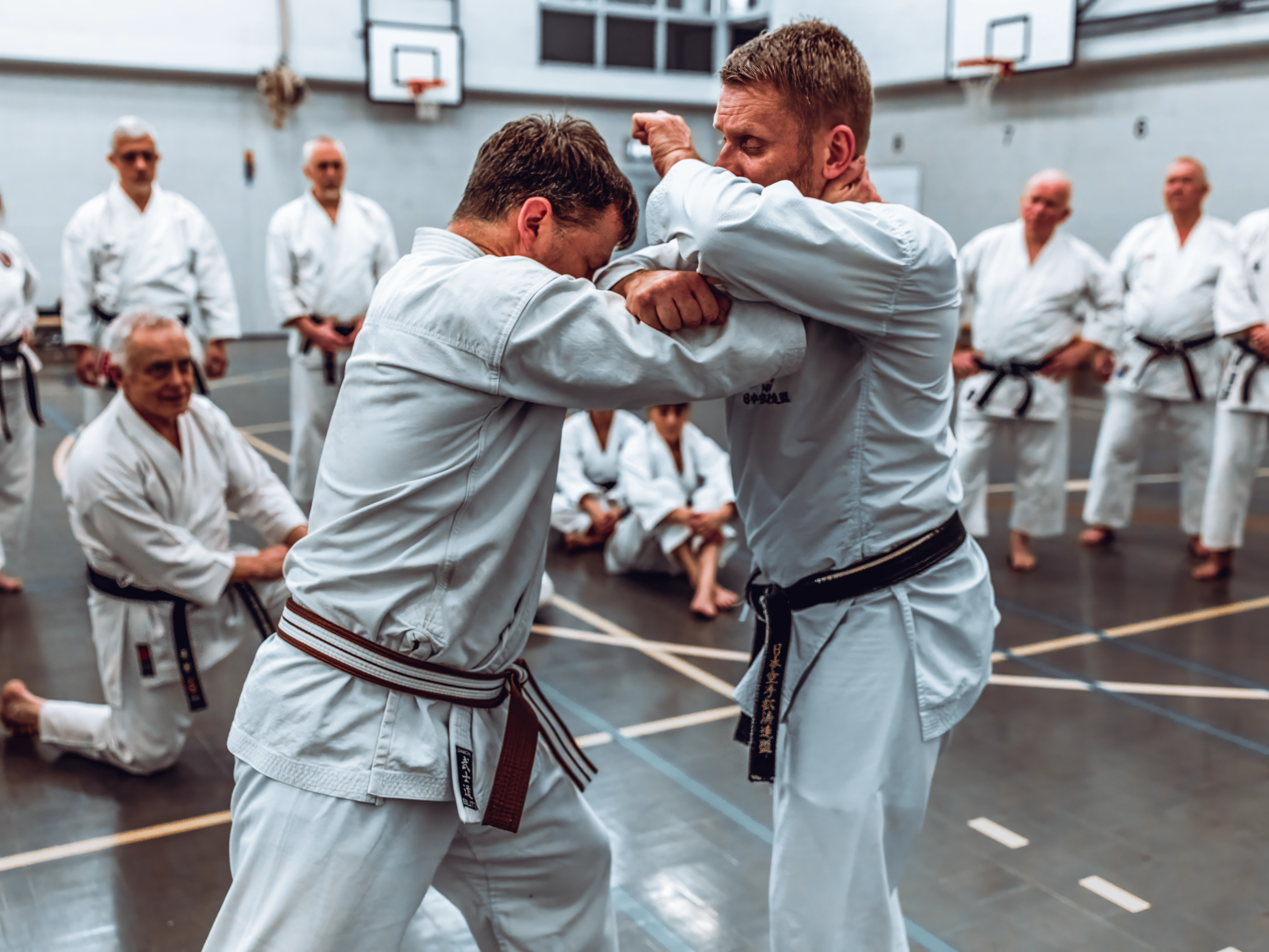 Kyoto 30th - Steve Carless.webp