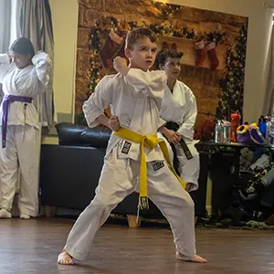 Karate Kata Heian Sandan