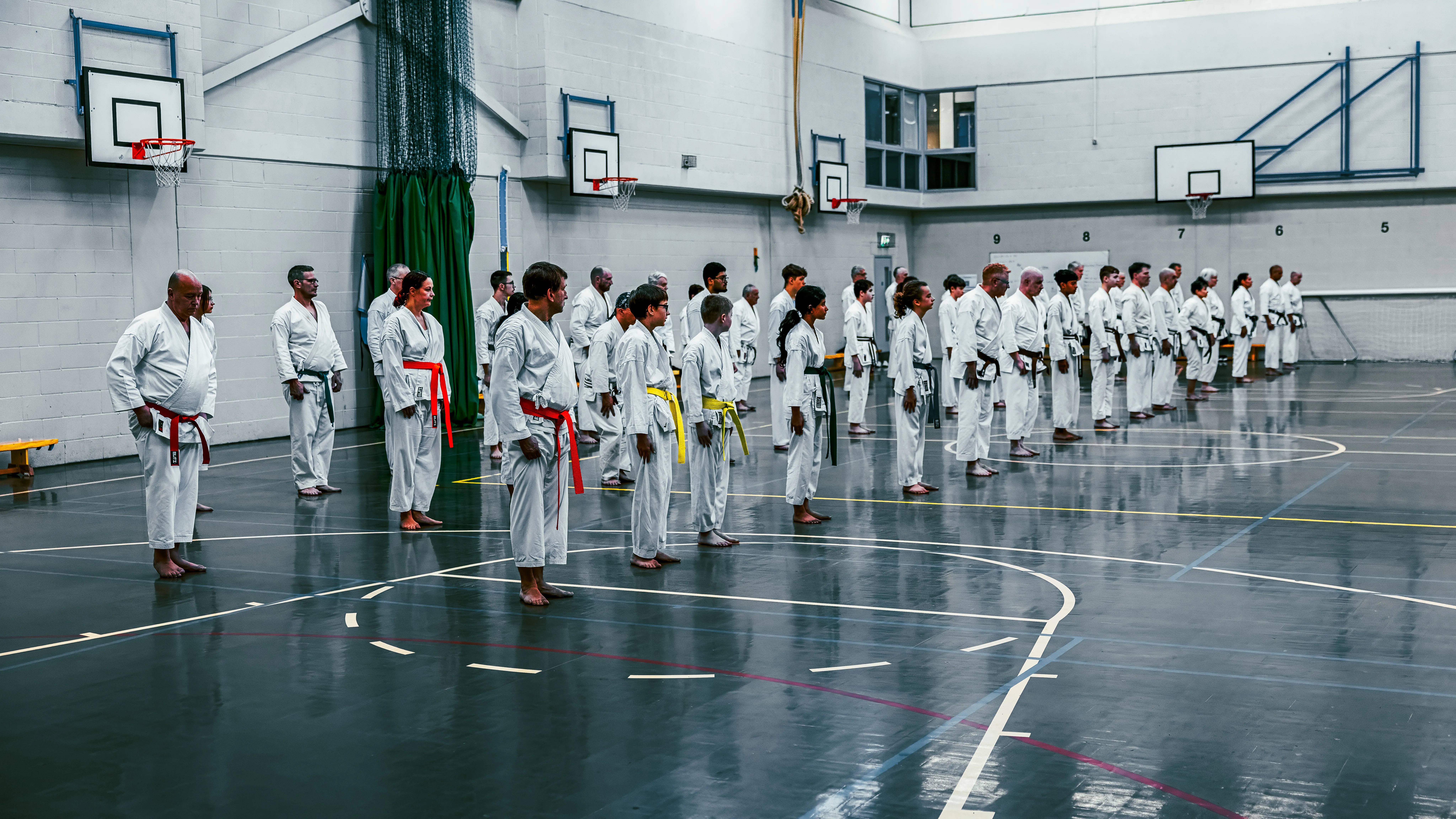 Kyoto Karate Seminar with Pasq Mura and Steve Carless