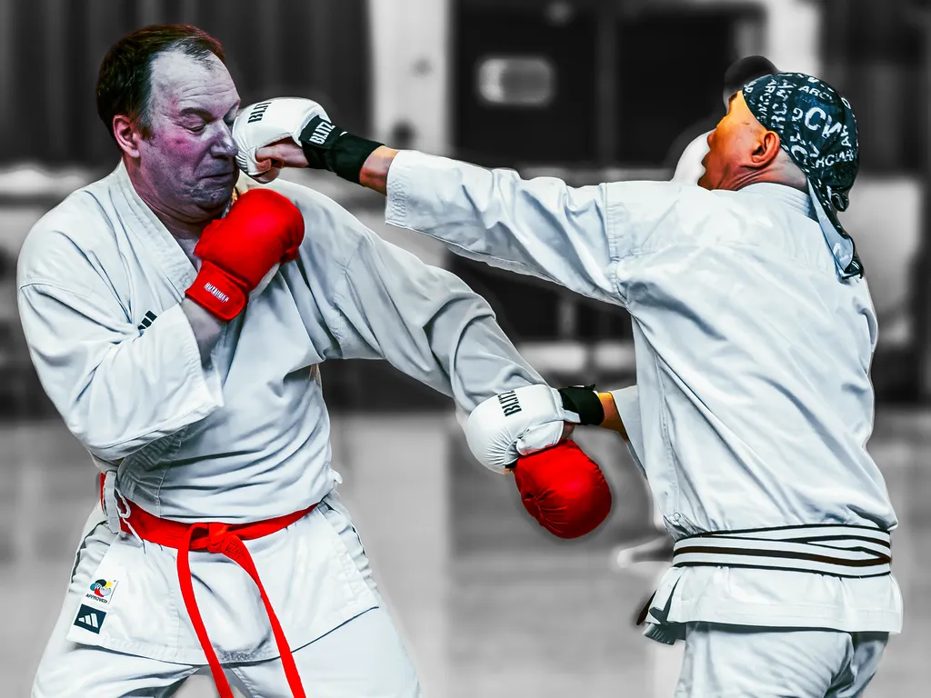 Shobu Ippon Karate Kumite